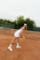TENNIS1 DRESS
