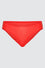 CHEEKY1 BRIEF