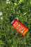 BIG PLANET WATER BOTTLE