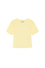 BABY1 CROPPED SS POINTELLE