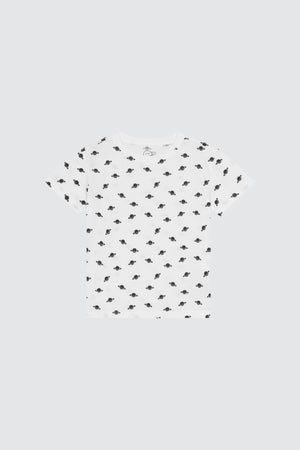 PLUTO1 TEE