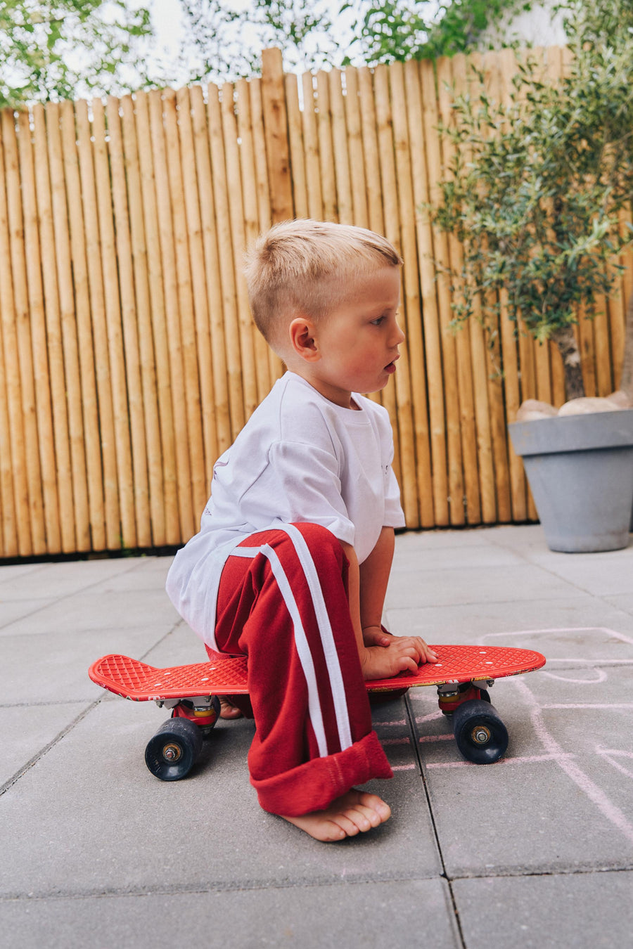 VIBE1 JUNIOR